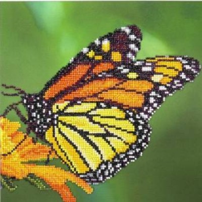 Diamond Art - Papillon Monarque 12x12"